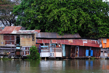 riverside old downgrade house from corrugated metal sheet under big tree