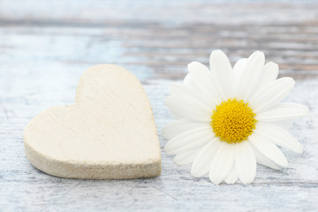 heart and white marguerite  lying on wood