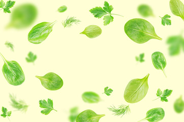 Fototapeta na wymiar Flying spinach, parsley and dill leaves over on light background - Image.