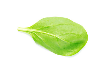 Green spinach leaf on white background - Image