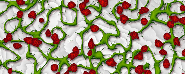 Seamless green thorny vines with red berries pattern on white background © Prime