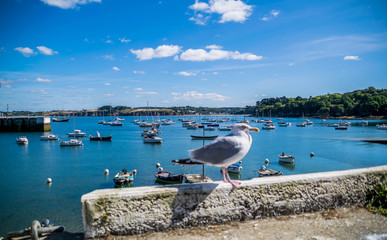 Douarnenez, Finistère
