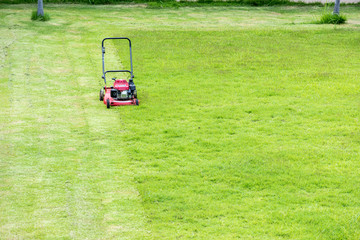 Red Lawn mower in grean grass field meadow.