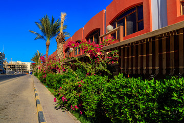 Fototapeta na wymiar Street of Hurghada city in Egypt