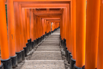 Wonderful japan , Red Torii Gate at Fushimi Inari Shrine in Kyoto, Japan,