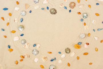 Seashells frame on beach sand background. Natural seashore textured surface, top view, copy space