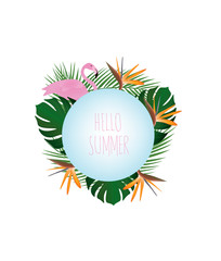 Hello summer background. vector