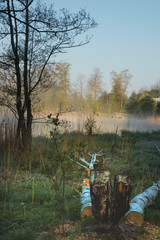 Fototapete bei efototapeten.de bestellen   