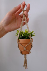 A mini macrame plant hanger made out of jute twine is being held up by a hand. A fake plant is in...