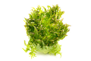 ハンサムレッド