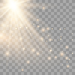 Vector transparent gold sunlight 