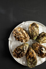 Overhead view, fresh oysters on ice on gray plate over black surface. Flat lay, overhead, from above. Copy space.