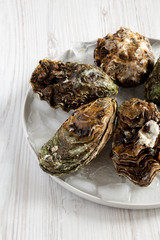 Fresh oysters on ice on a plate over white wooden background, side view. Close-up.