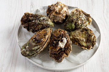 Fresh oysters on ice on a plate over white wooden surface, side view. Closeup.