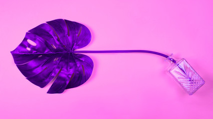 Vibrant bold purple tropical monstera leaf in vase on pink background. Art neon surrealism concept