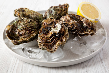 Fresh oysters on ice on a plate over white wooden background, side view. Closeup.