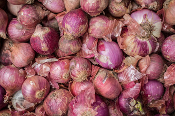 Organic red onions in a pile