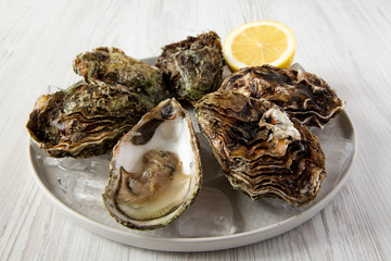 Fresh oysters on ice on a plate over white wooden background, side view. Close-up.