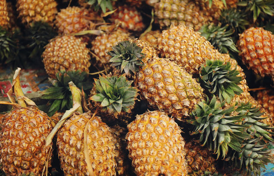 Fresh pineapple tropical fruit on the shelf for sale in the market 