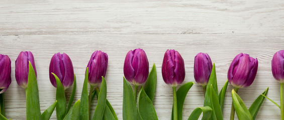 Purple tulips on a white wooden surface, top view. Flat lay, overhead, from above. Space for text.
