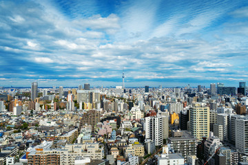 Panorama of Tokyo cityscape in Japan.