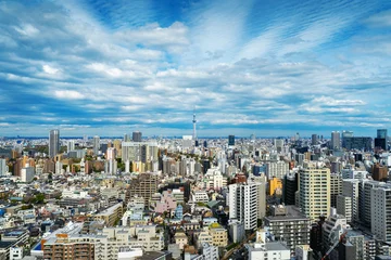 Fotobehang Panorama of Tokyo cityscape in Japan. © tawatchai1990