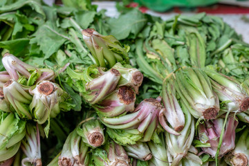 Organic fresh chicory in the market