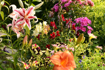 Blumen 1041 © K.-U. Häßler