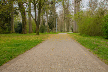 concrete path in a city park