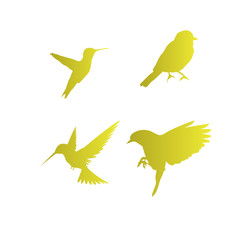 golden bird logo icon