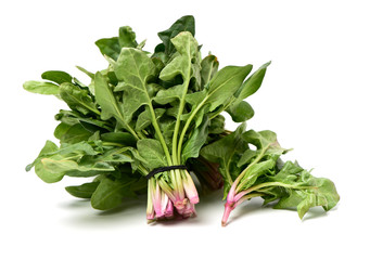 Spinach on a white background