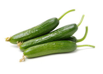 Lebanese Cucumber isolated on white background