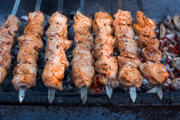 barbecue on skewers,cooking meat on an open fire