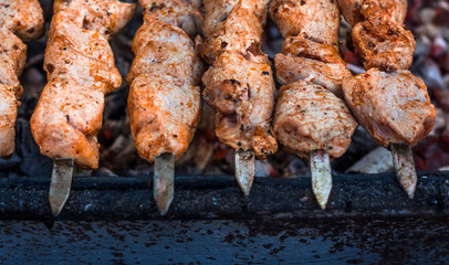 skewer skewers,the concept of cooking meat on an open fire