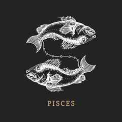 Pisces zodiac symbol, hand drawn in engraving style. Vector graphic retro illustration of astrological sign Fish.