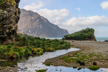 Fortuna Bay revisited