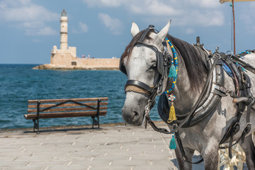 Fototapeta na wymiar Lighthouse and horse
