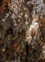 Dried spices