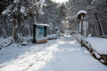 South Italy after a exceptional snowfall, Salento, Italy