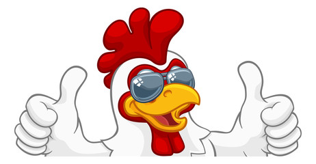 A chicken rooster cockerel bird cartoon character in cool shades or sunglasses peeking over a sign and giving a double thumbs up