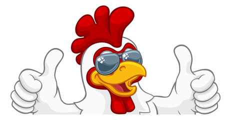 A chicken rooster cockerel bird cartoon character in cool shades or sunglasses peeking over a sign and giving a double thumbs up © Christos Georghiou