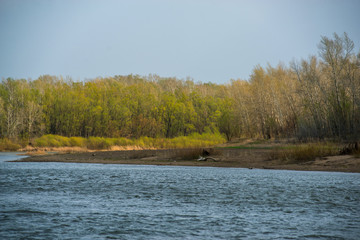 an elderly couple in love walks in windy weather on the other side of the Ural river