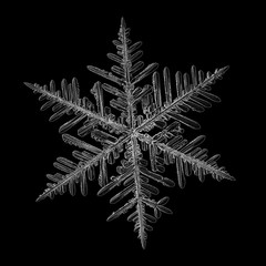 Snowflake isolated on black background. Macro photo of real snow crystal: elegant stellar dendrite with fine hexagonal symmetry, glossy relief surface, complex inner details and six thin, ornate arms.