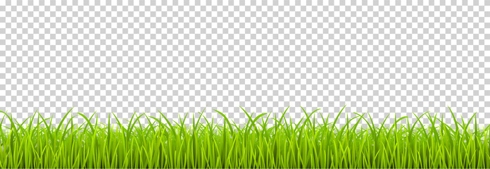 Fototapeta Green Grass realistic. Spring grass, field, nature eco - stock vector. obraz