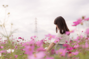 A Japanese girl surrounded a lot of full blooming cosmos flower.
