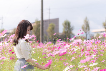 A Japanese girl surrounded a lot of full blooming cosmos flower.