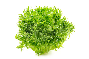 ハンサムグリーン