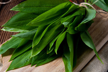 Obraz premium allium ursinum fresh ramson with lots of valuable vitamins