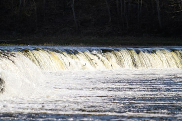 Beautiful countryside view of widest waterfall in Europe - Latvia, Kuldīga.