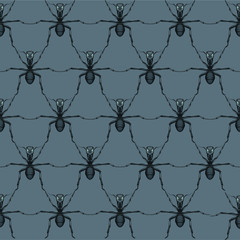Ants – Cooperation - Demonstration - Concept - Seamless vector pattern -  hexagonal composition - repeated on the grey background - 265595284